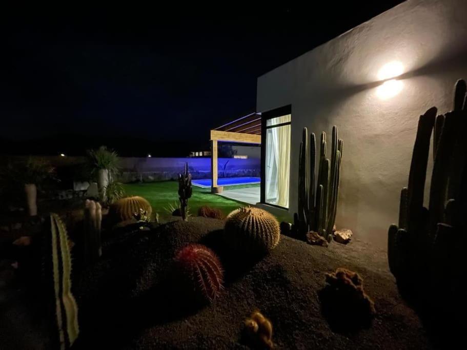 Bungalow + Piscina Independiente La Oliva Extérieur photo